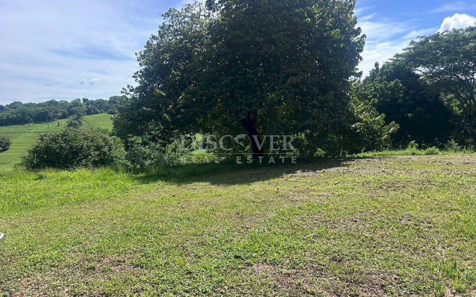  Land for sale in the exclusive residential area of Villa Fontana