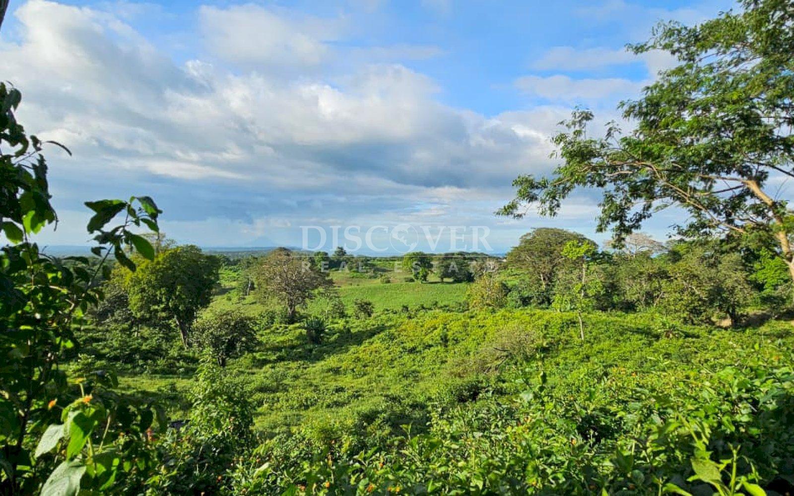 Agricultural property for sale on the Old Road to León 