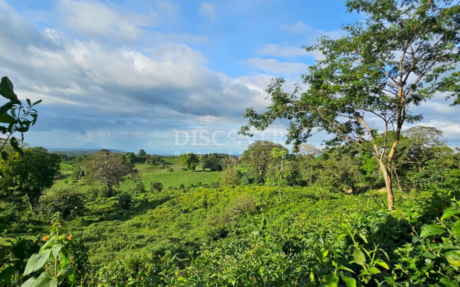 Agricultural property for sale on the Old Road to León 