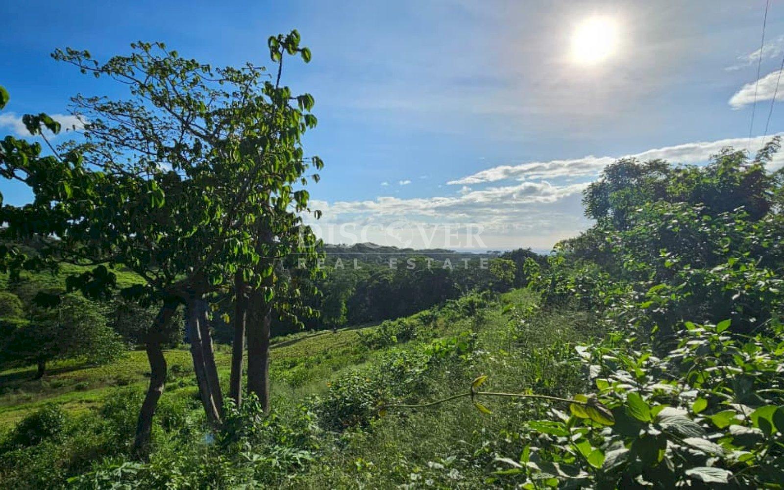 Agricultural property for sale on the Old Road to León 