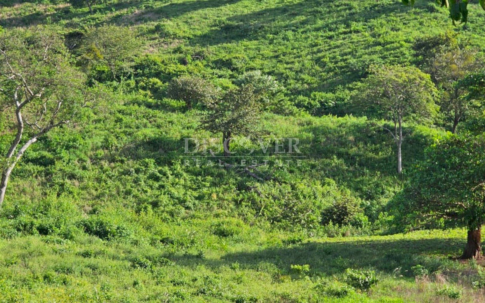 Agricultural property for sale on the Old Road to León 