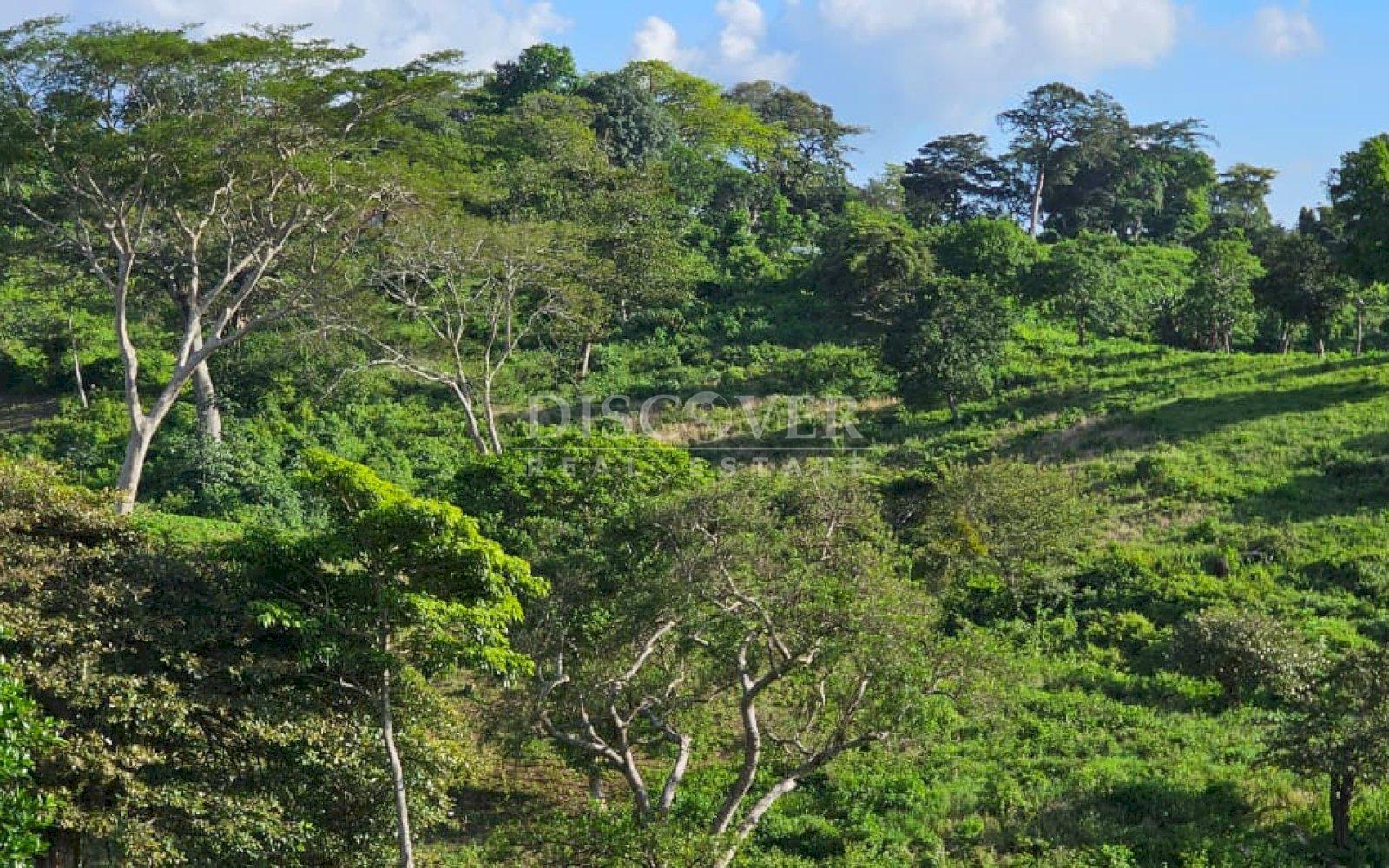Agricultural property for sale on the Old Road to León 