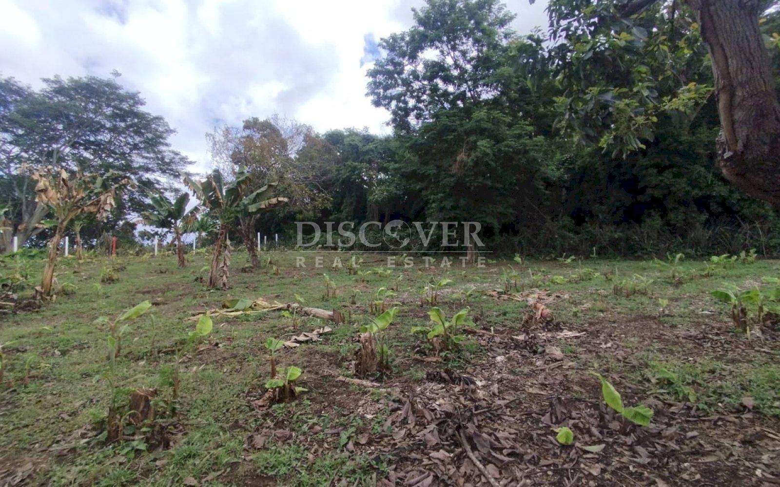 Land for sale in residential area in San Isidro de Bolas