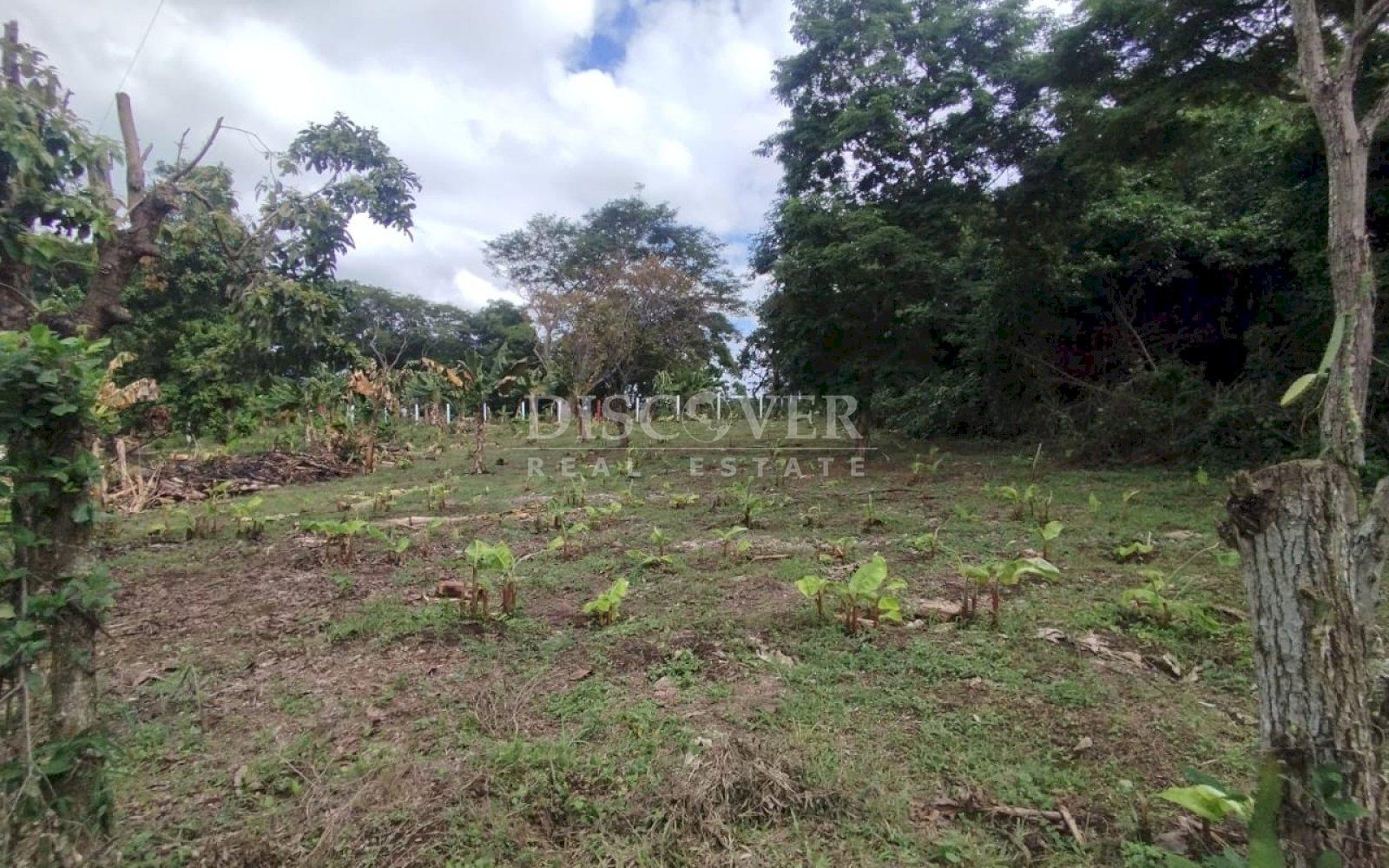 Land for sale in residential area in San Isidro de Bolas