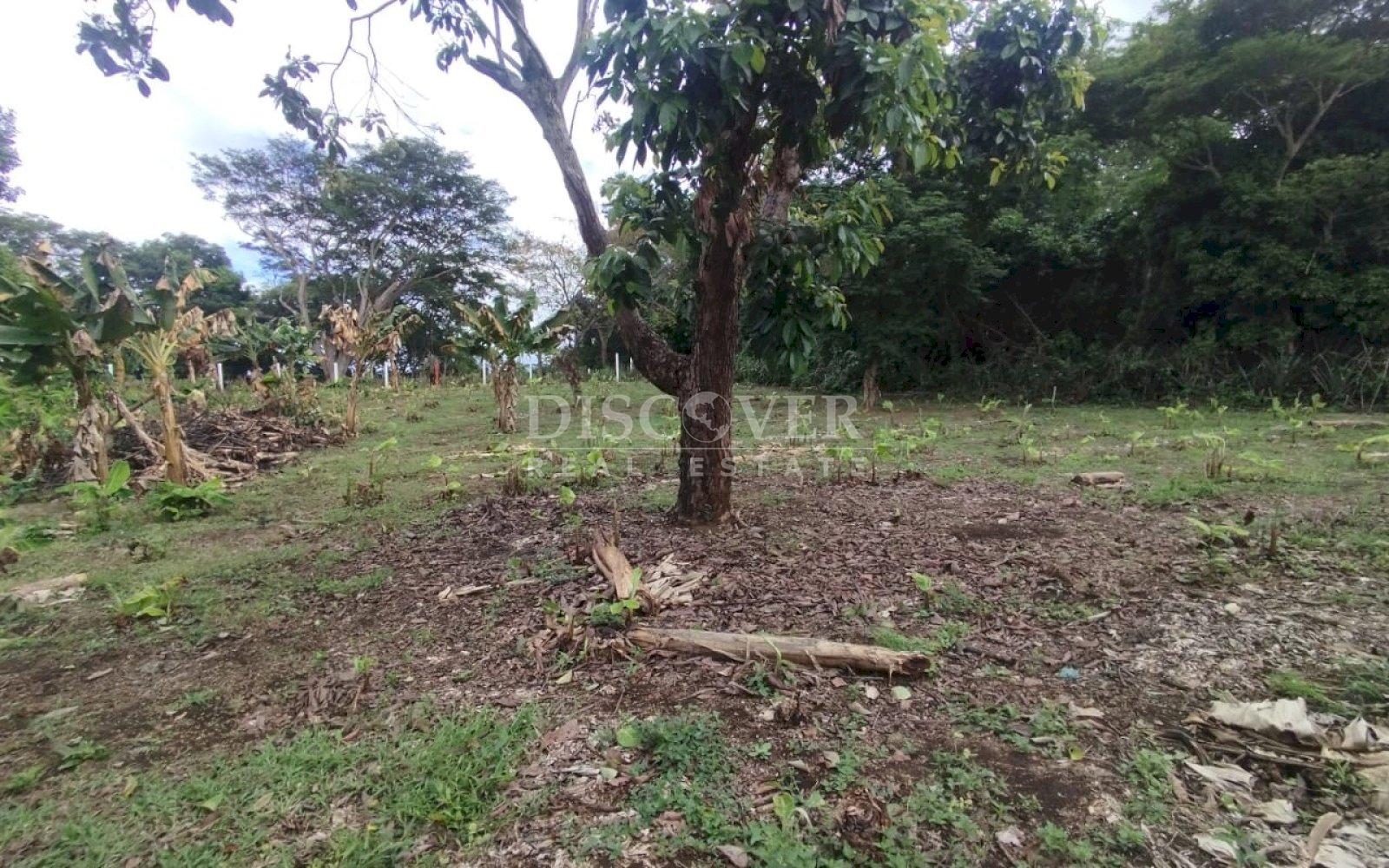 Land for sale in residential area in San Isidro de Bolas