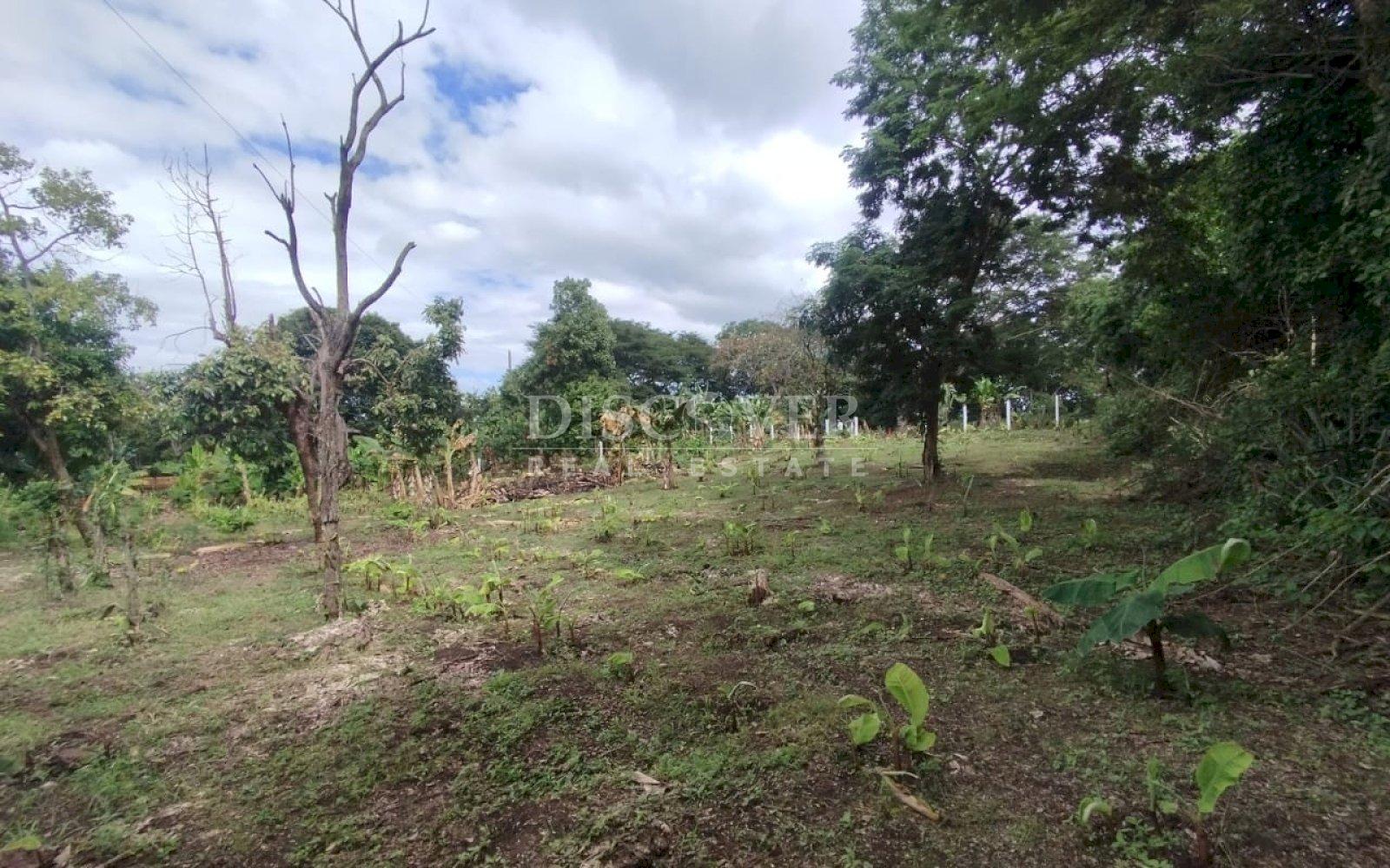 Land for sale in residential area in San Isidro de Bolas