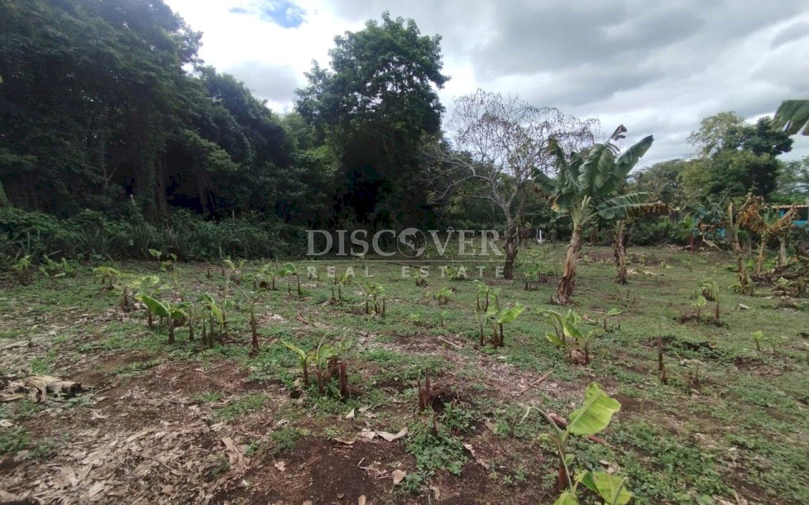 Land for sale in residential area in San Isidro de Bolas