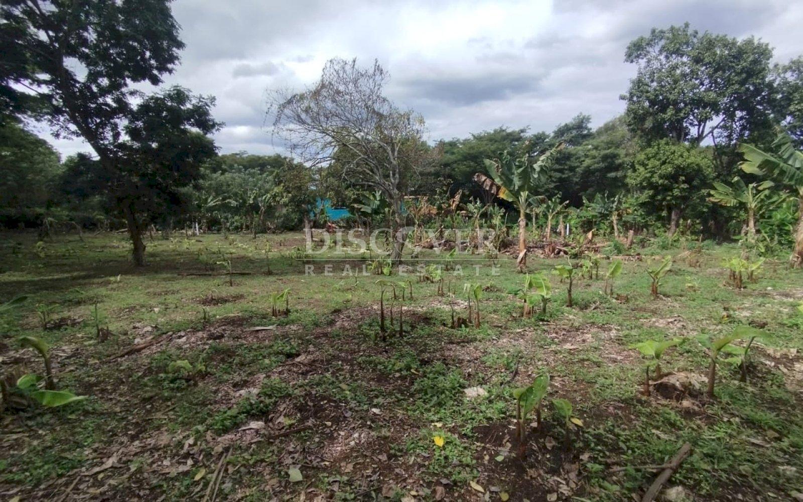 Land for sale in residential area in San Isidro de Bolas