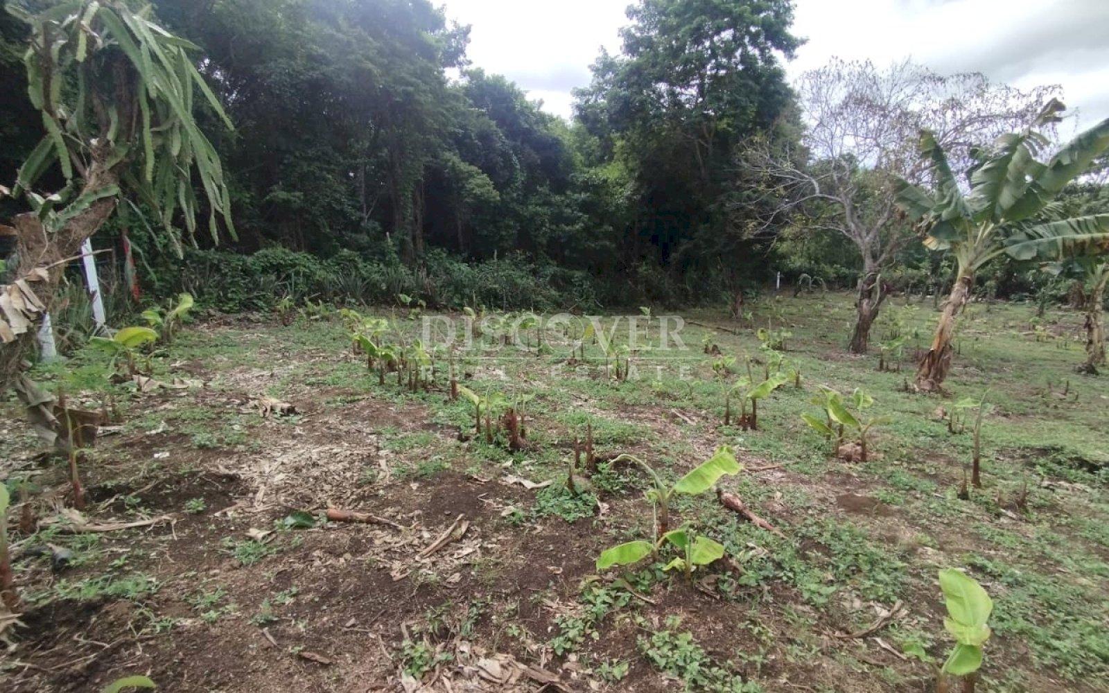 Land for sale in residential area in San Isidro de Bolas
