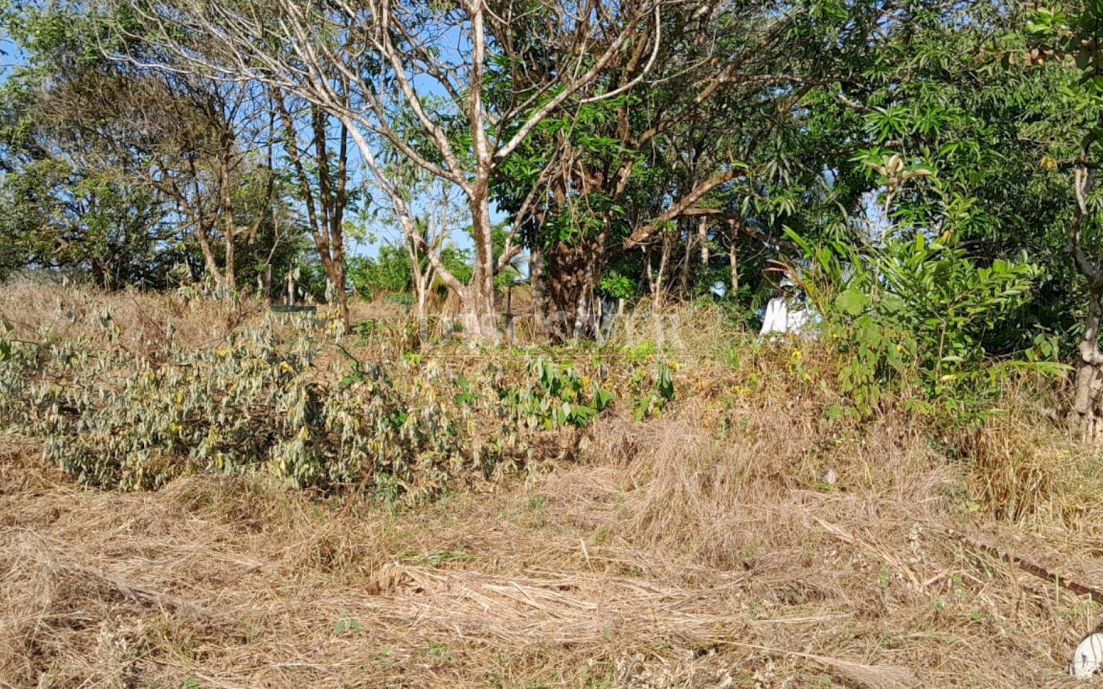  Land for sale with views of Laguna de Apoyo - Granada