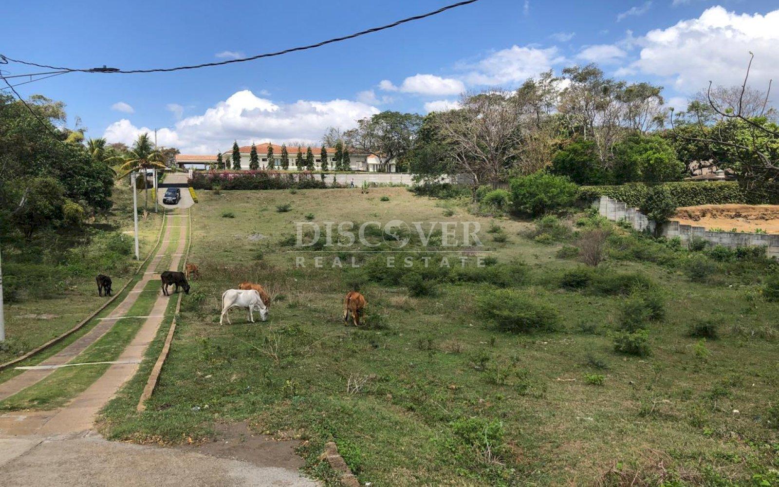 Imagen 4 de la galería