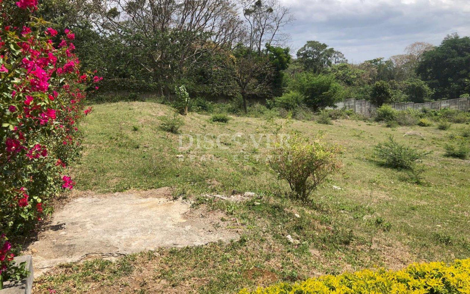 Imagen 5 de la galería