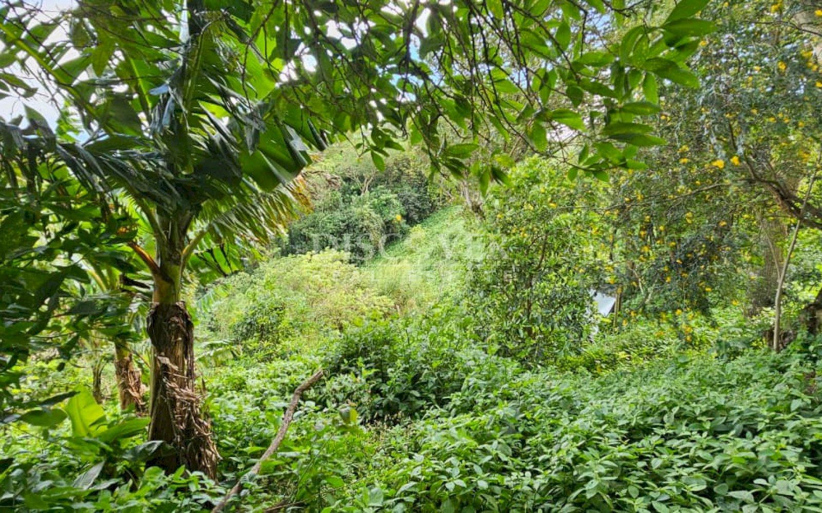  Land with city views for sale in El Crucero