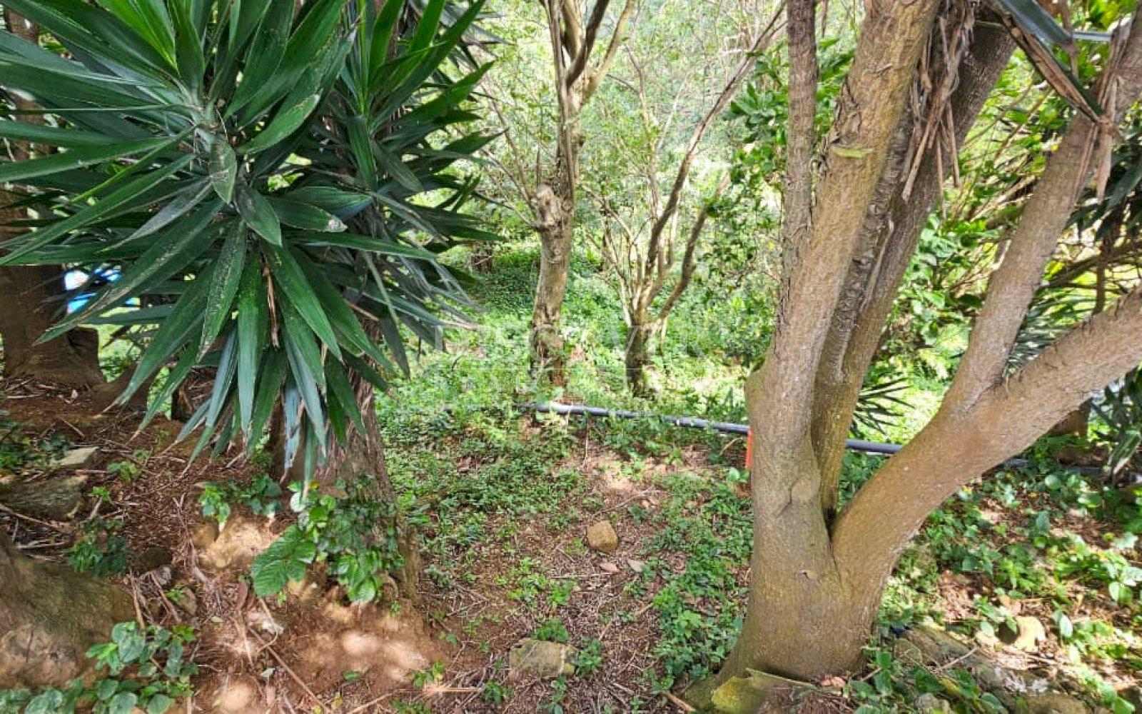  Land with city views for sale in El Crucero