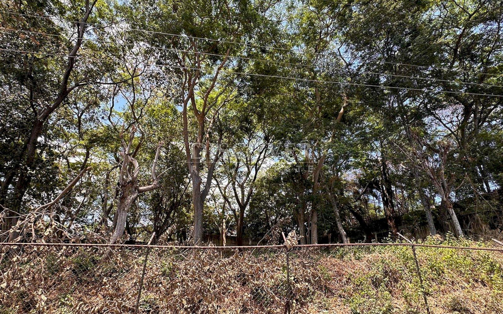  Exclusive Land in one of the Best Neighborhoods in Managua
