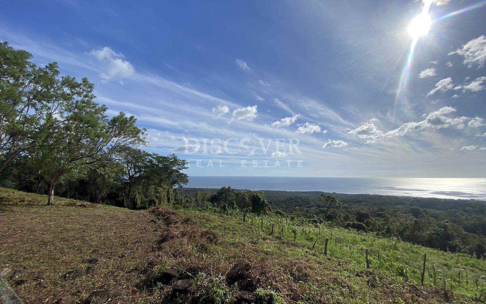https://images.discovernica.com/propiedad/1600/IMG_7419.jpg