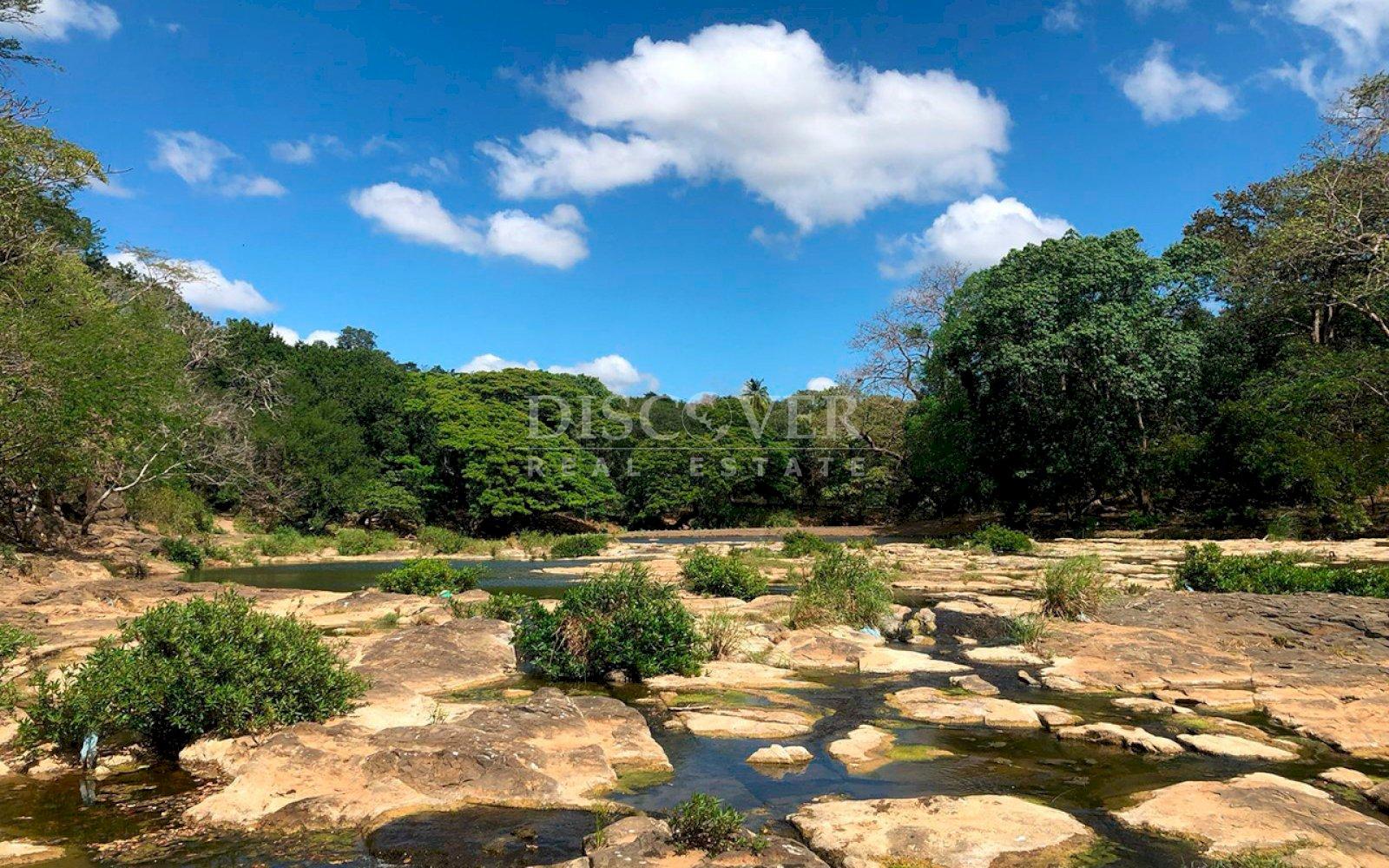 Imagen 3 de la galería