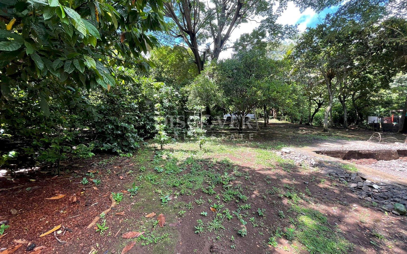  Beautiful Finca for sale in Carretera Sur.