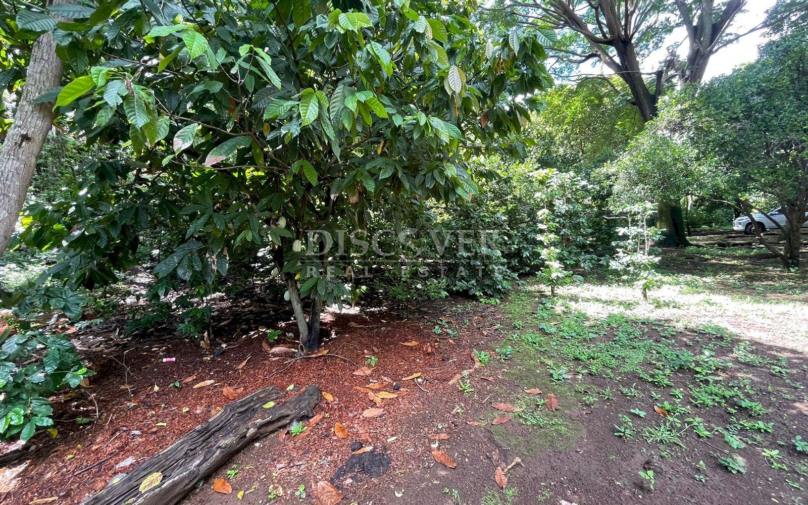 Beautiful Finca for sale in Carretera Sur.