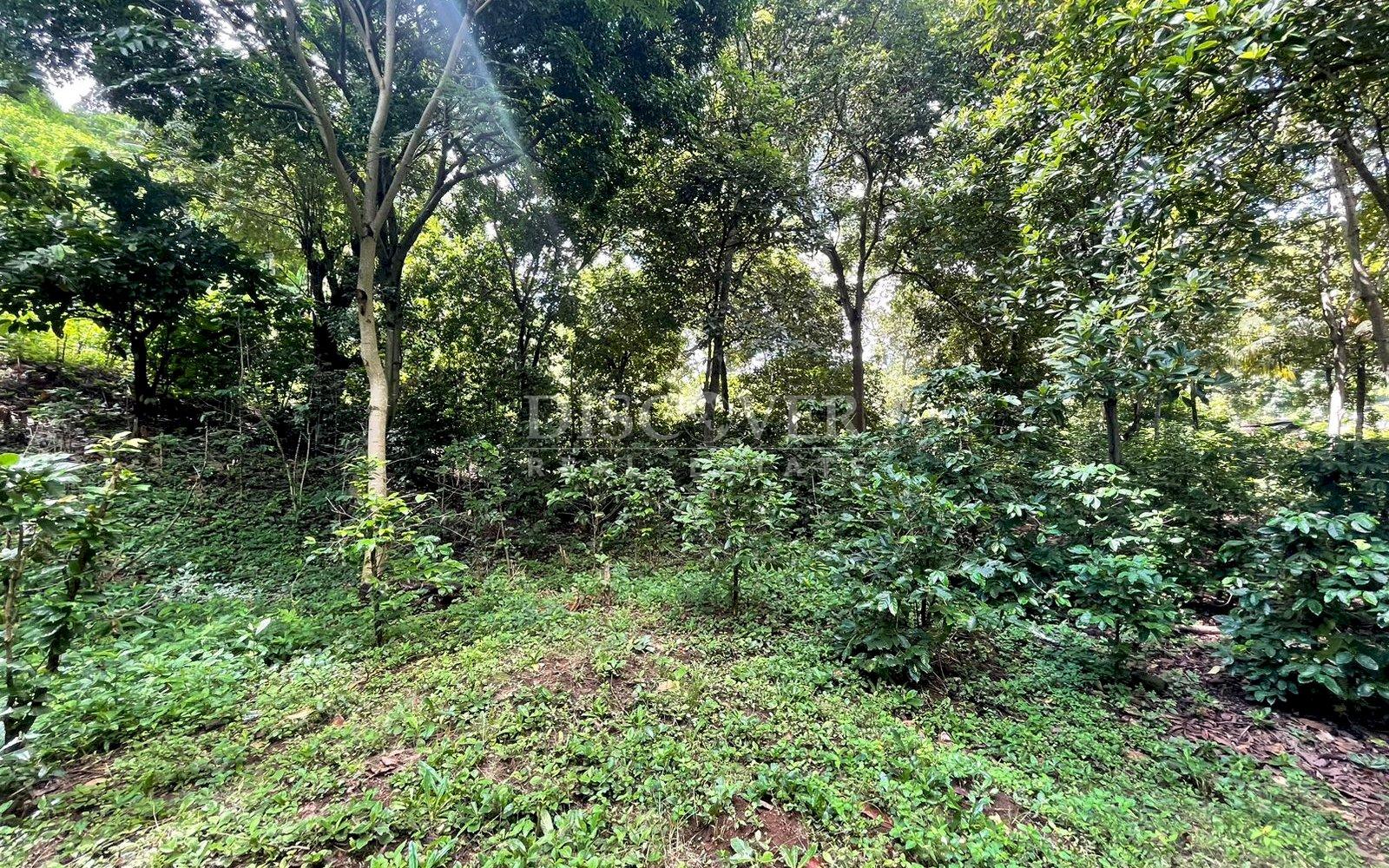  Beautiful Finca for sale in Carretera Sur.