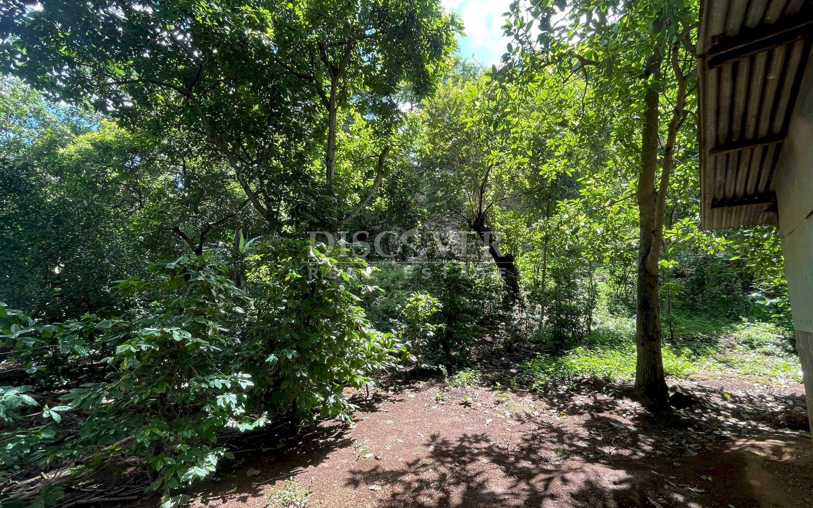  Beautiful Finca for sale in Carretera Sur.