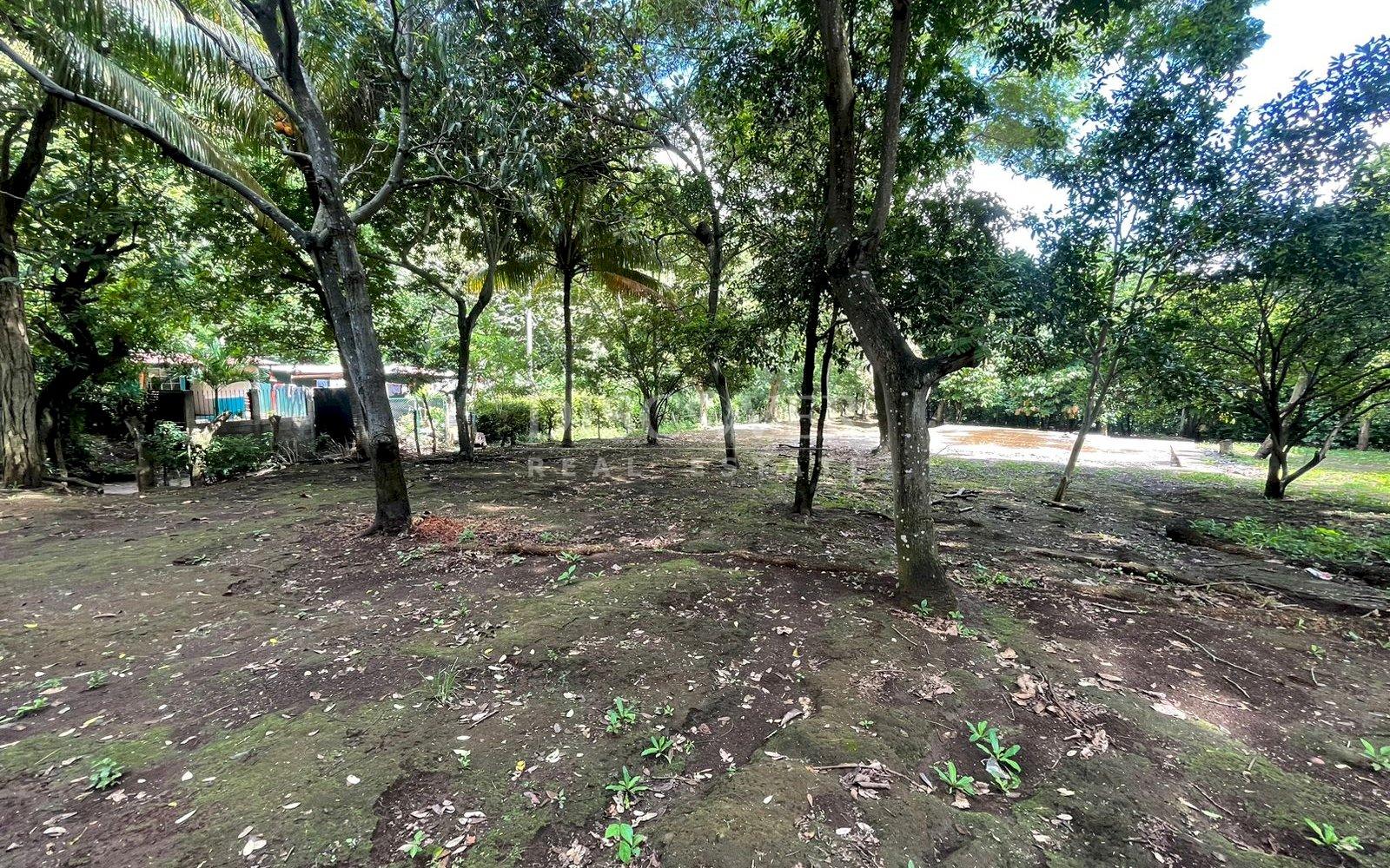  Beautiful Finca for sale in Carretera Sur.