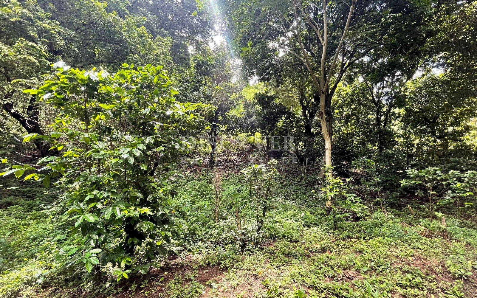  Beautiful Finca for sale in Carretera Sur.