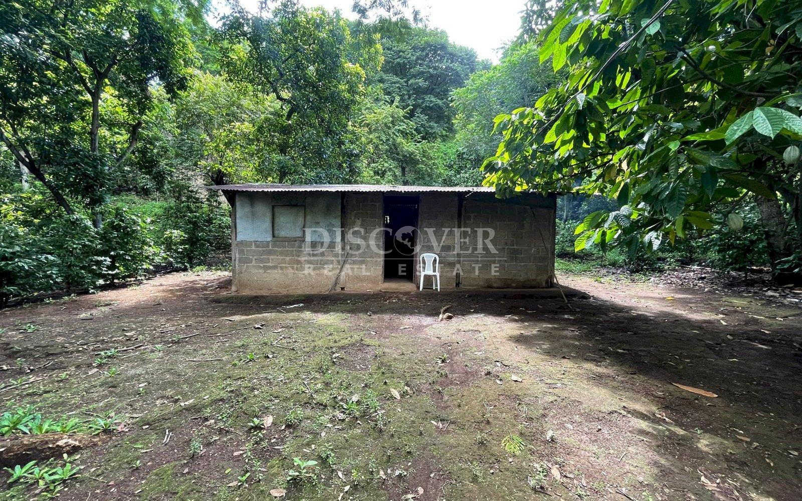  Beautiful Finca for sale in Carretera Sur.