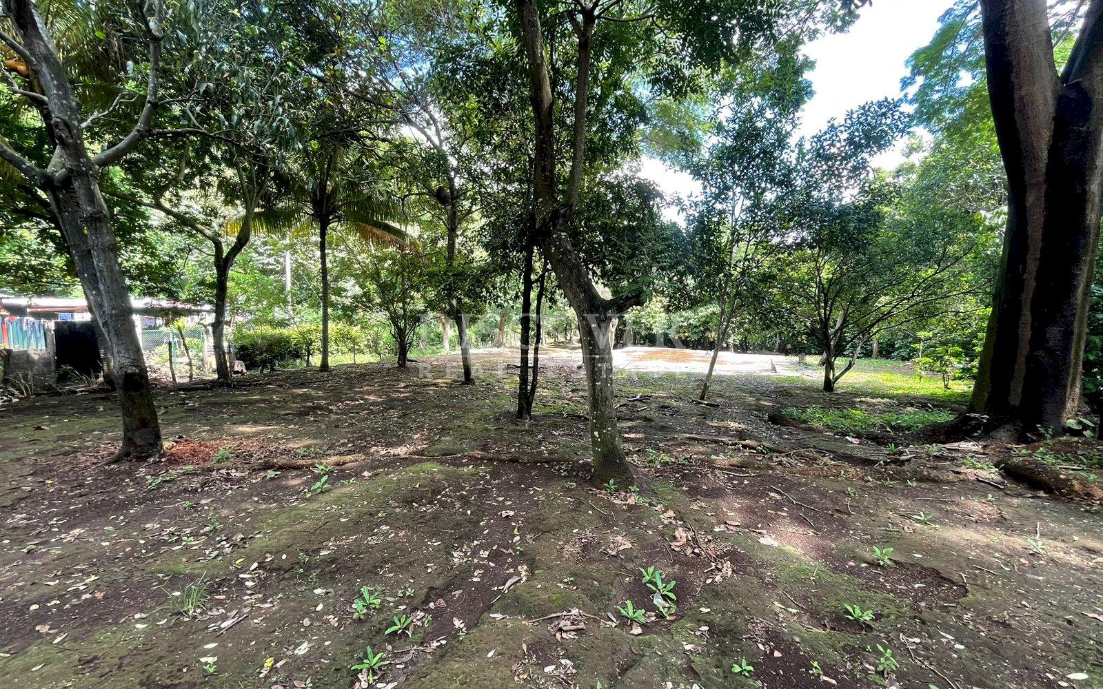  Beautiful Finca for sale in Carretera Sur.