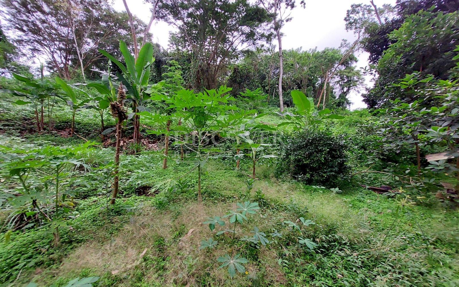  Land for sale in La Esperanza