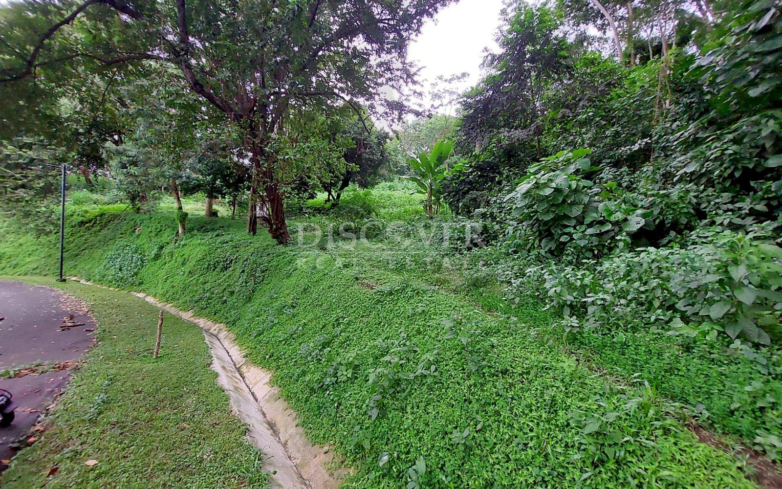  Land for sale in La Esperanza