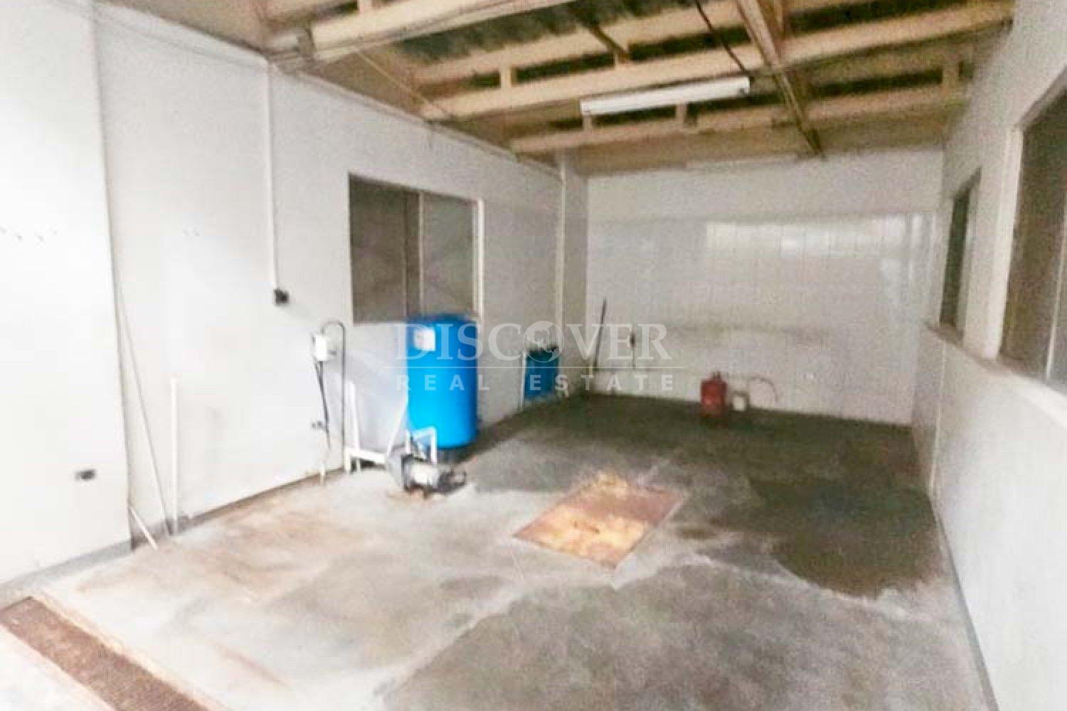 Imagen 11 de la galería