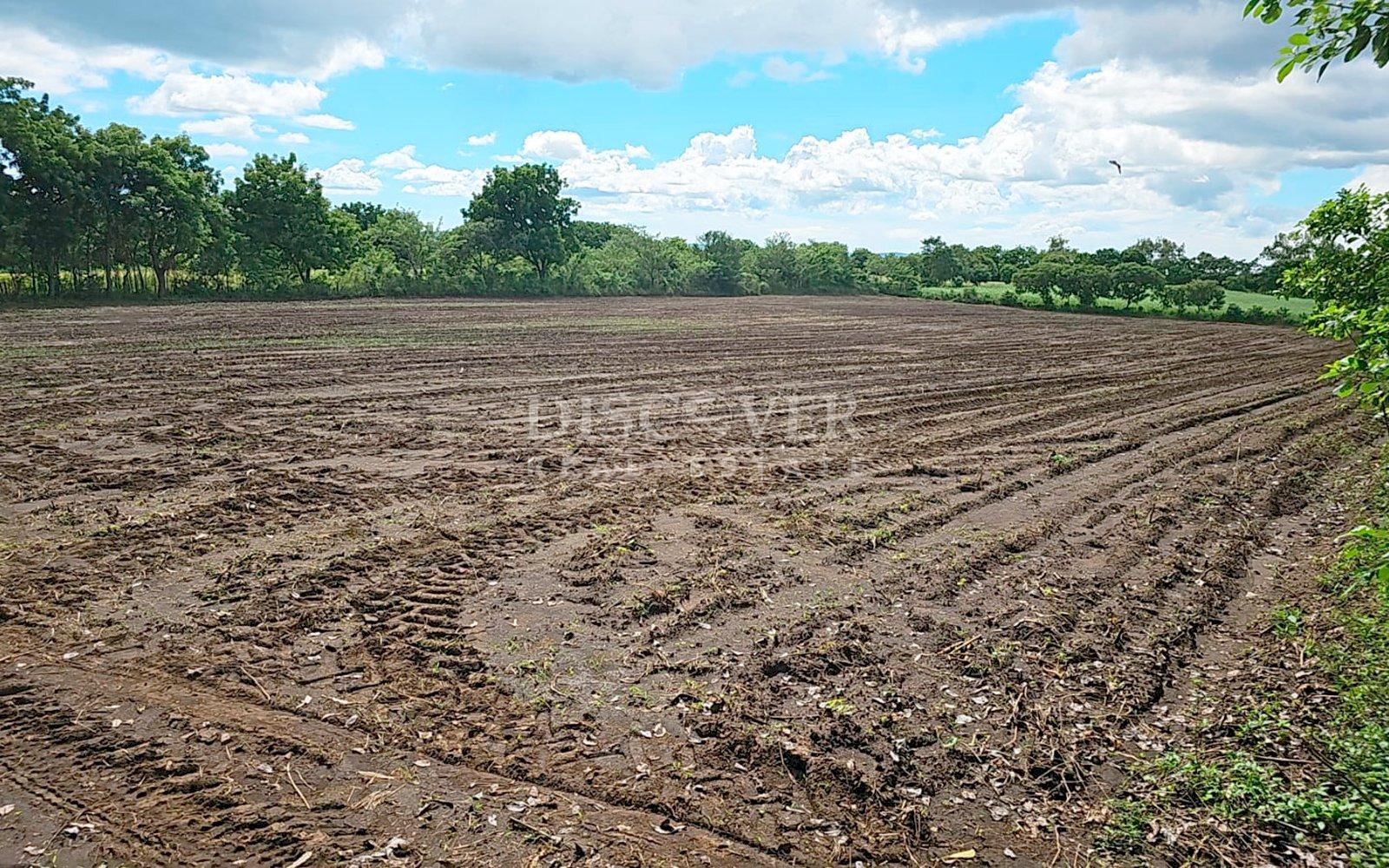  Farm for sale in León