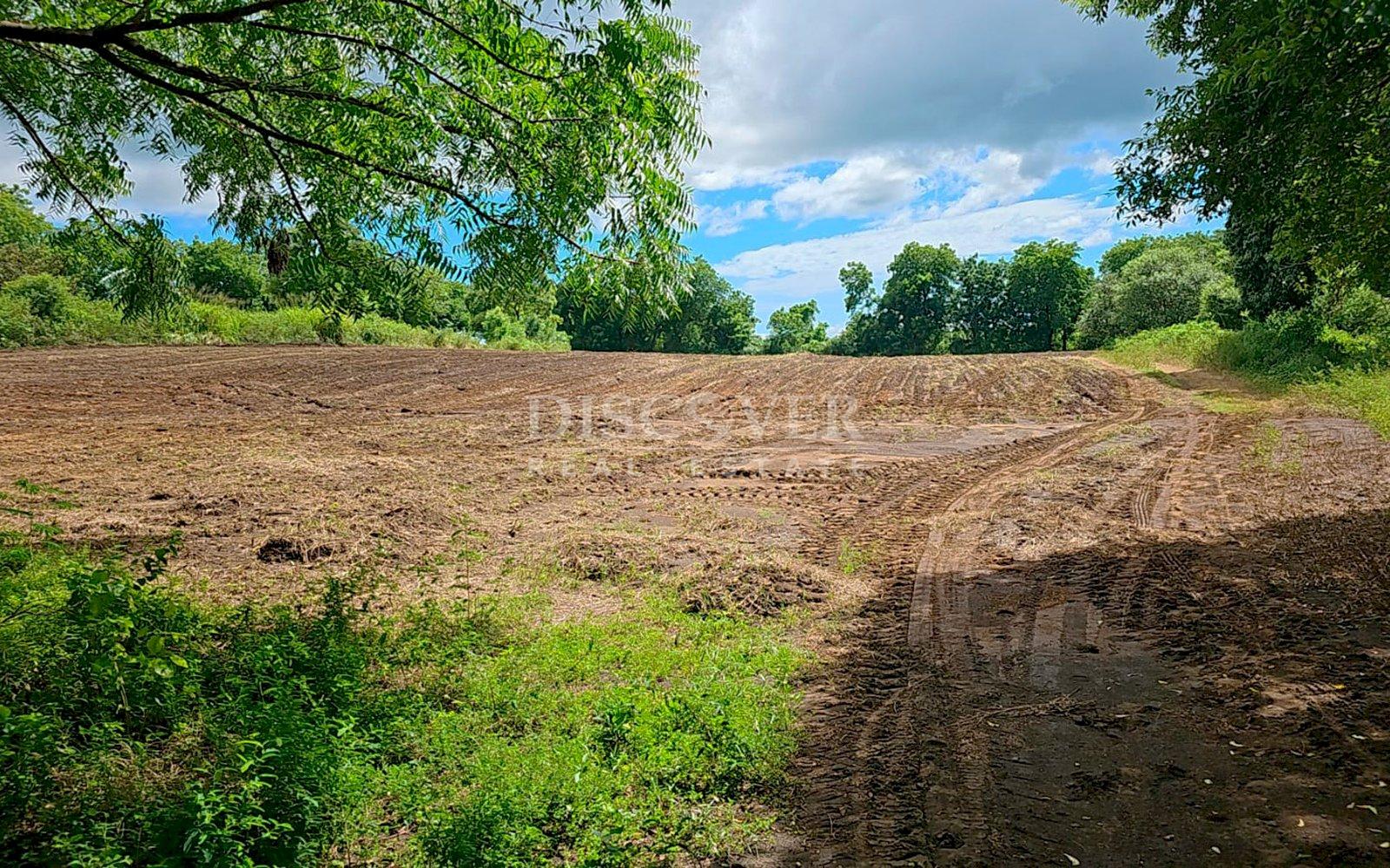  Farm for sale in León