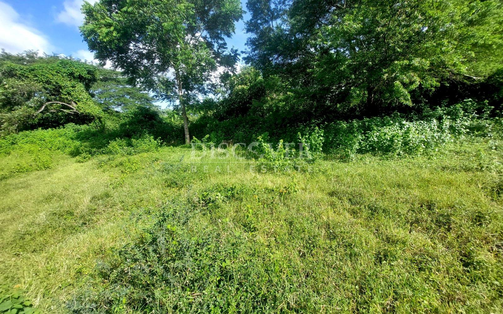 Land for sale opposite the highway in Santo Domingo