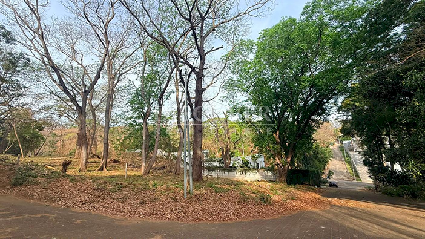  Land for Sale on Carretera Sur