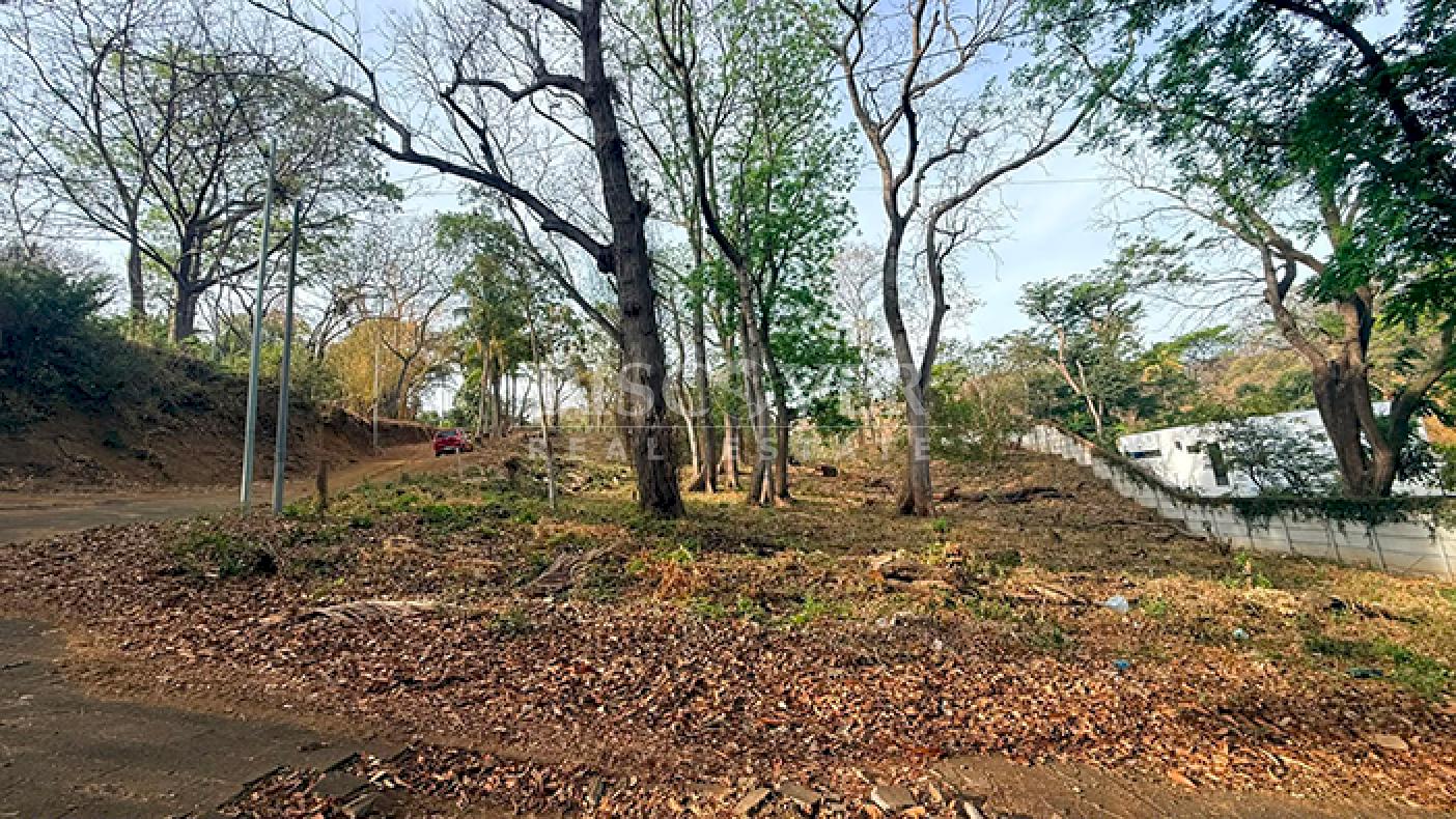  Land for Sale on Carretera Sur