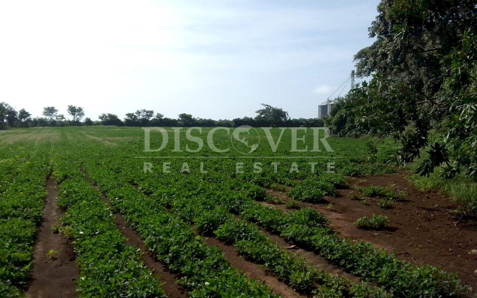 https://images.discovernica.com/propiedad/1600/PHO2_09_22_16_08_35.jpg