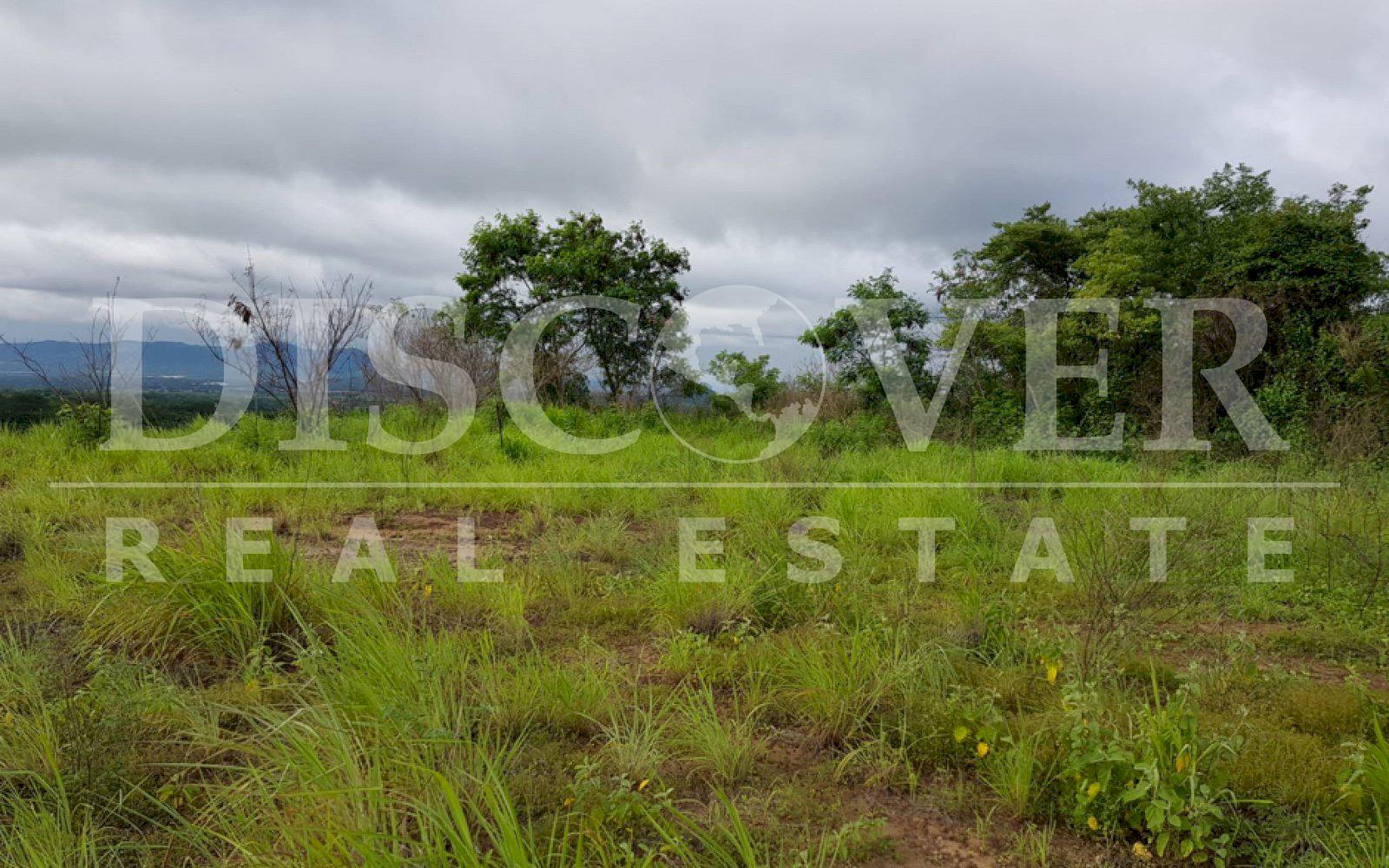  Land for Sale on the old road to León ID 12412