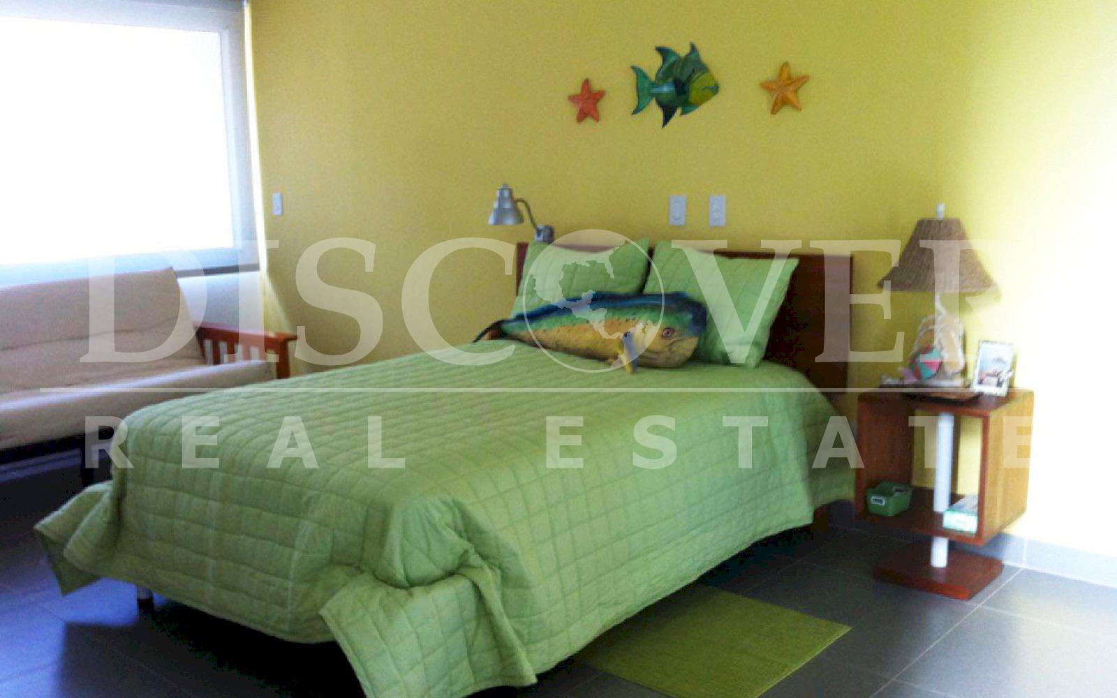 Imagen 3 de la galería