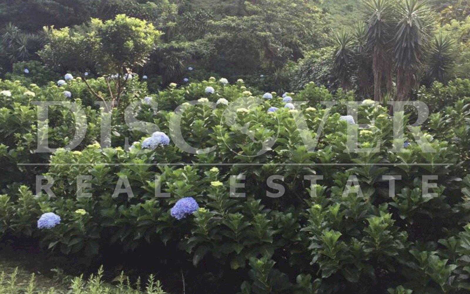 https://images.discovernica.com/propiedad/1600/PHOTO_2021_01_19_12_02_10_1.jpg