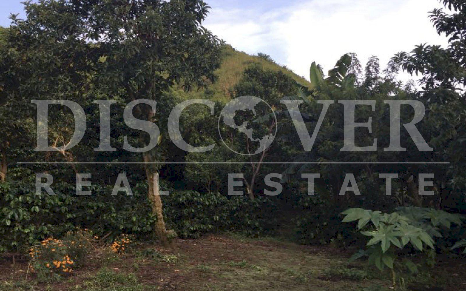 https://images.discovernica.com/propiedad/1600/PHOTO_2021_01_19_12_02_10_4.jpg