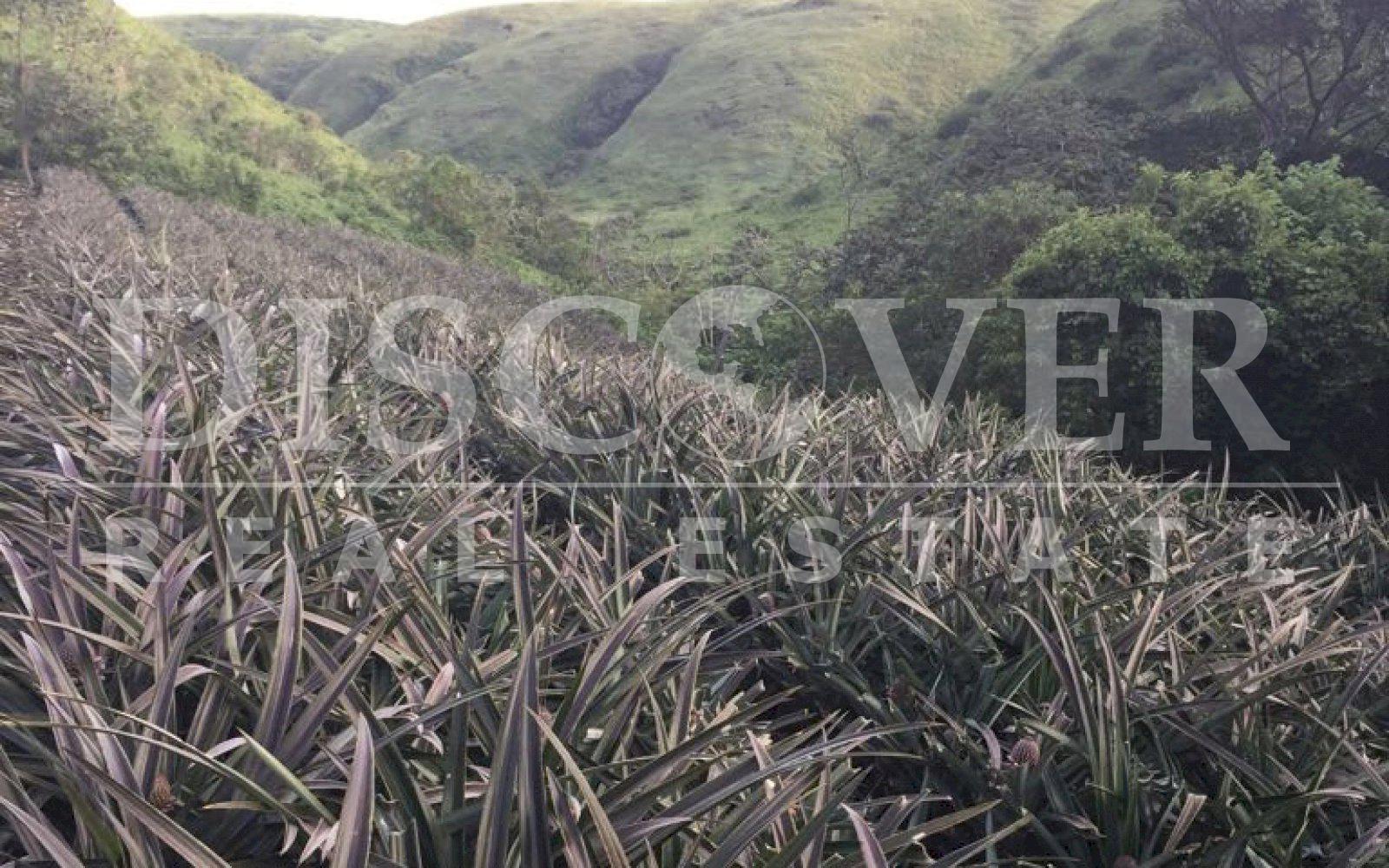 https://images.discovernica.com/propiedad/1600/PHOTO_2021_01_19_12_02_11_1.jpg