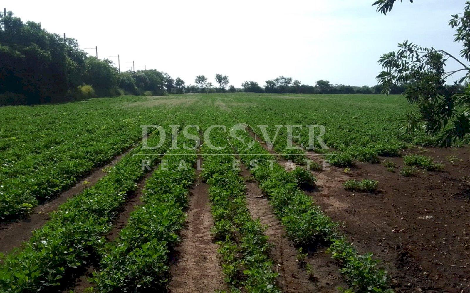 https://images.discovernica.com/propiedad/1600/PHOTO_2022_09_22_16_08_35.jpg