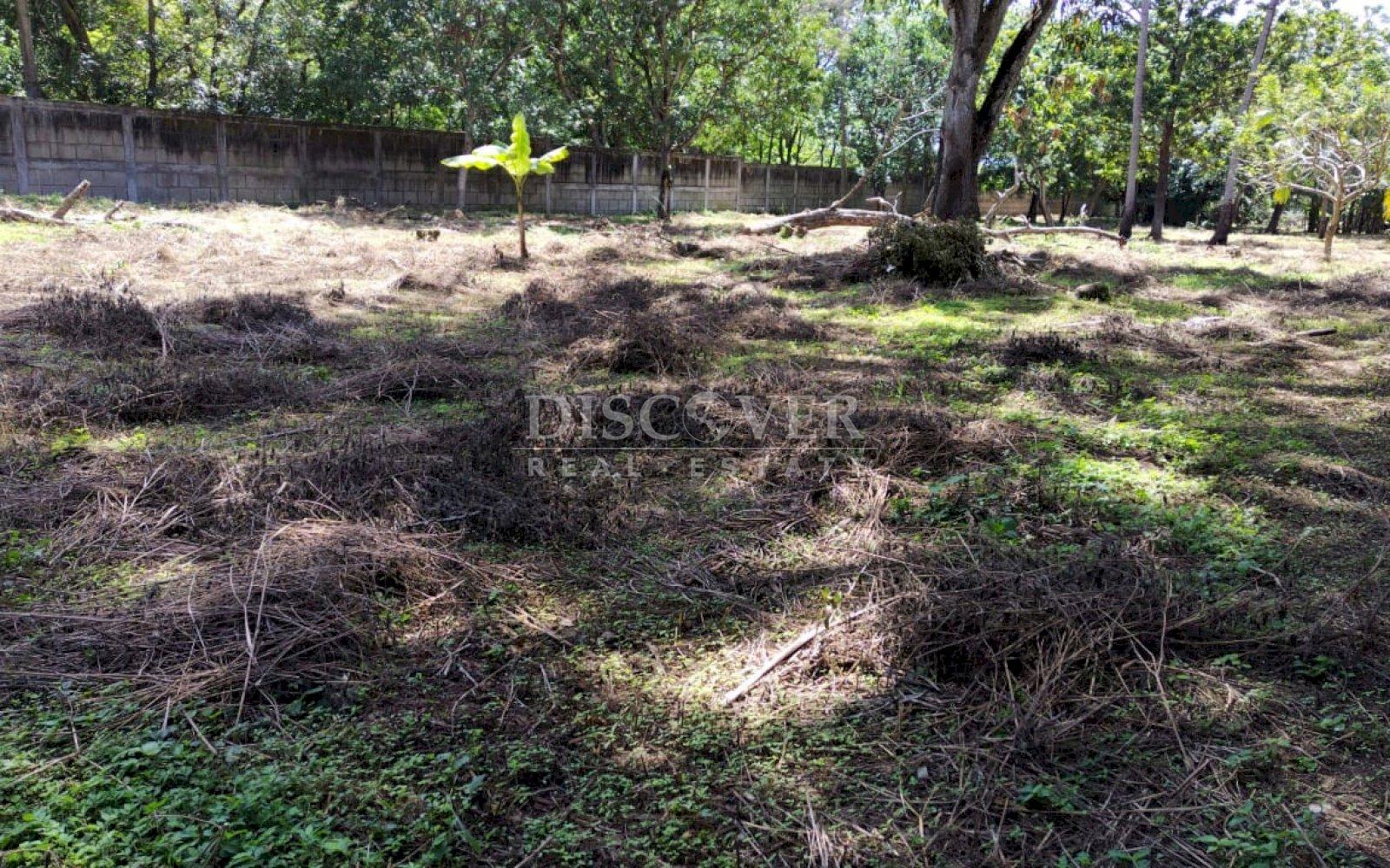 https://images.discovernica.com/propiedad/1600/PHOTO_2022_10_27_10_42_35.jpg