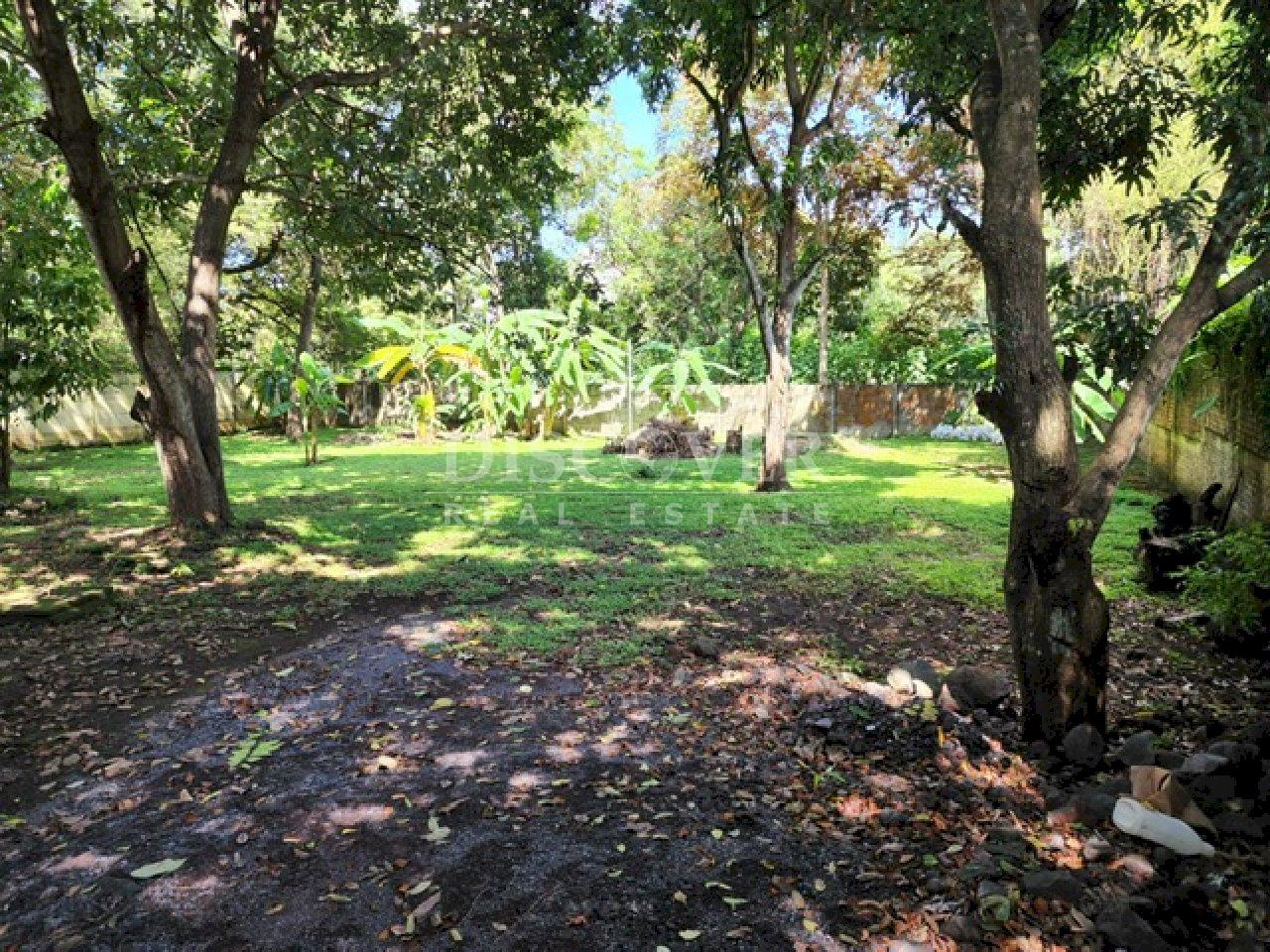  Land for sale in front of the Masaya Highway 