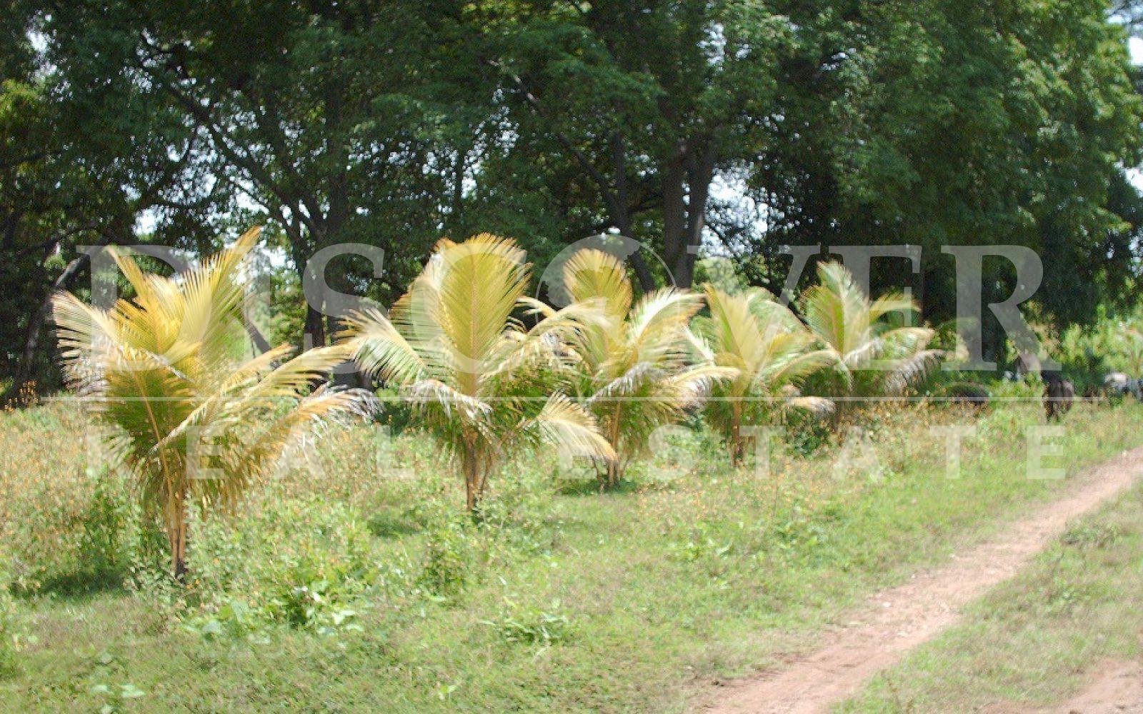 https://images.discovernica.com/propiedad/1600/PICT2021.JPG