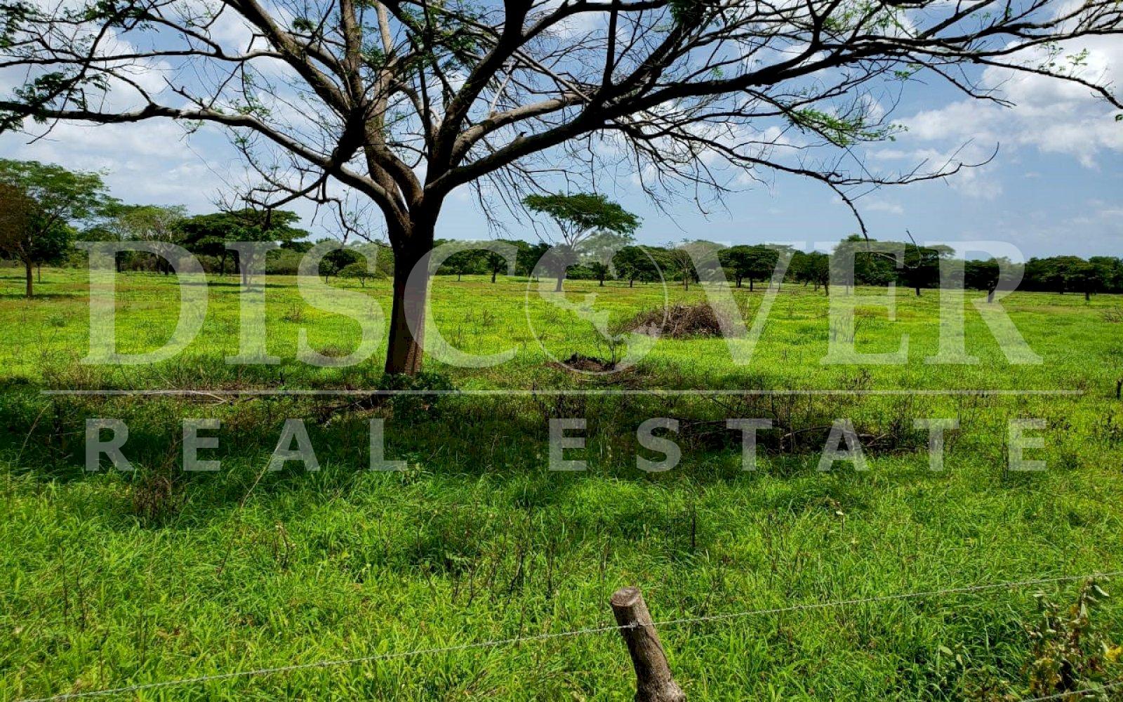 https://images.discovernica.com/propiedad/1600/Potrero.jpg
