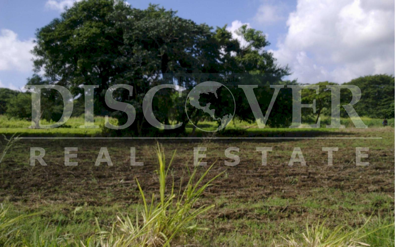 https://images.discovernica.com/propiedad/1600/TCM1.1_1_6.PNG