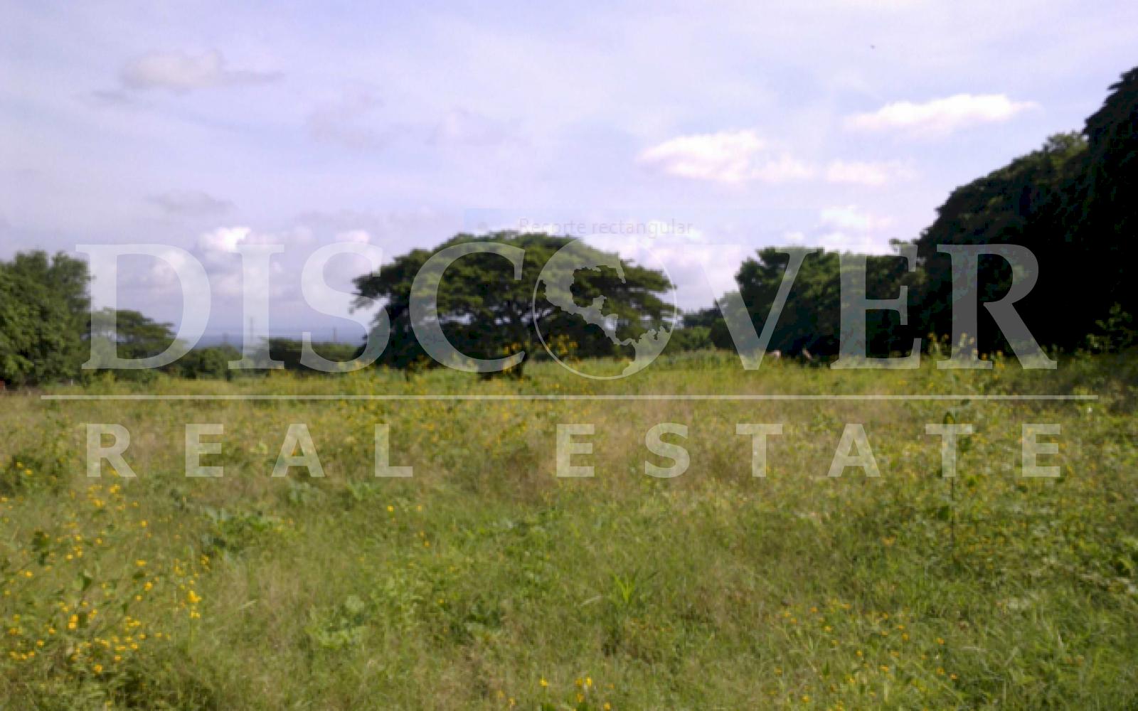 https://images.discovernica.com/propiedad/1600/TCM1.1_3_6.PNG